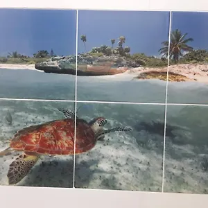 https://vista-mar-imbituba-sc.santa-catarina-brasil.com